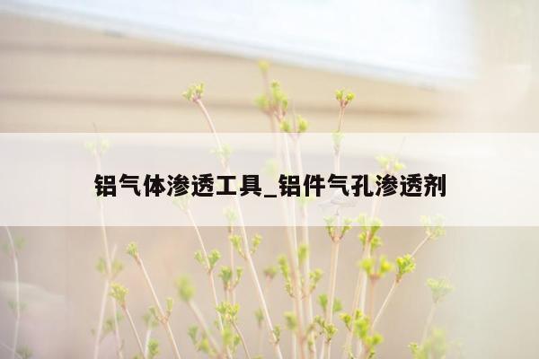 铝气体渗透工具_铝件气孔渗透剂