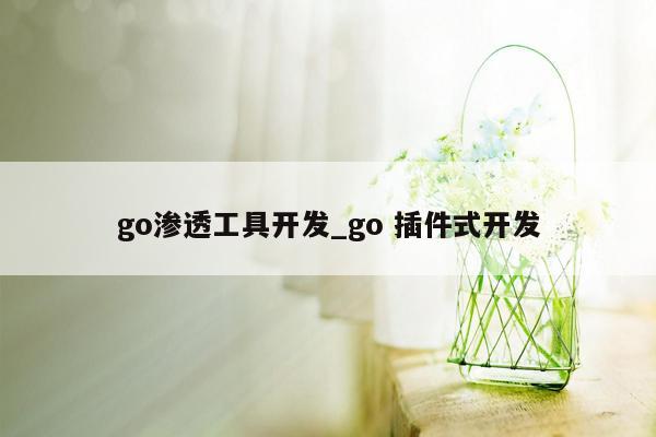 go渗透工具开发_go 插件式开发