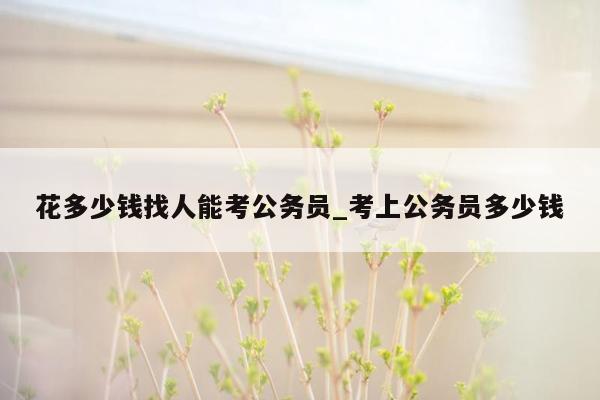 花多少钱找人能考公务员_考上公务员多少钱