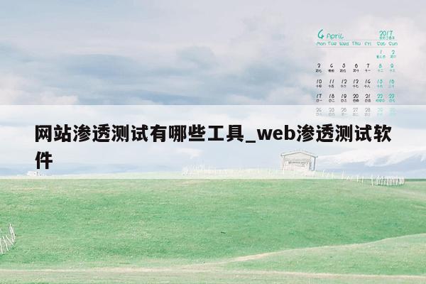 网站渗透测试有哪些工具_web渗透测试软件