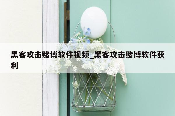 黑客攻击赌博软件视频_黑客攻击赌博软件获利