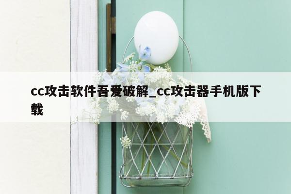 cc攻击软件吾爱破解_cc攻击器手机版下载