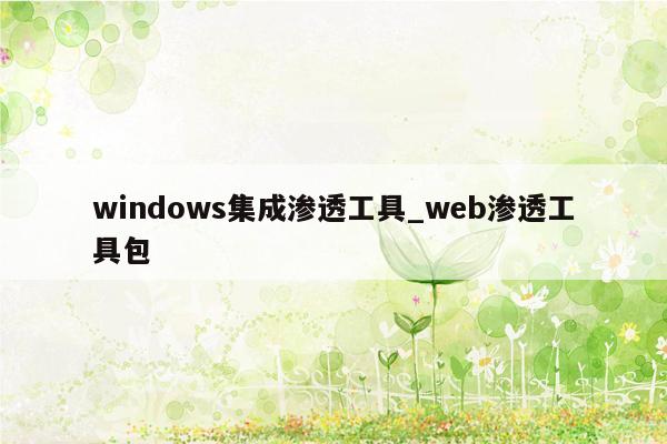 windows集成渗透工具_web渗透工具包