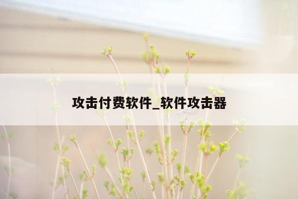 攻击付费软件_软件攻击器