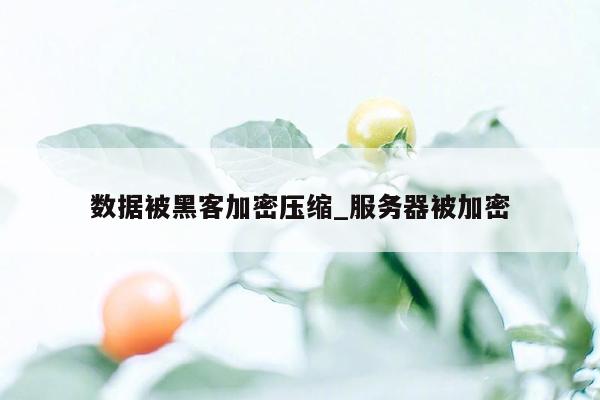 数据被黑客加密压缩_服务器被加密