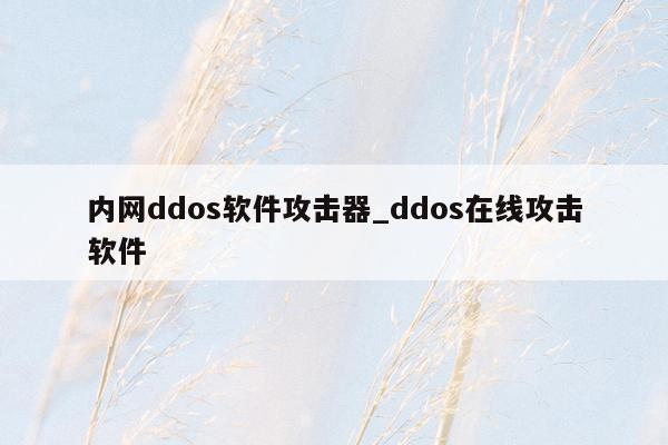 内网ddos软件攻击器_ddos在线攻击软件