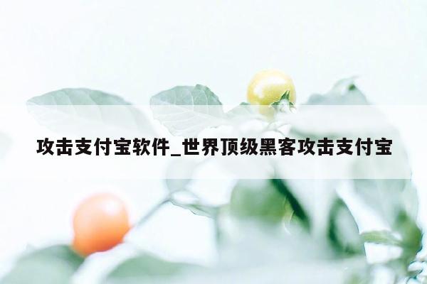 攻击支付宝软件_世界顶级黑客攻击支付宝