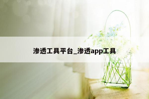 渗透工具平台_渗透app工具