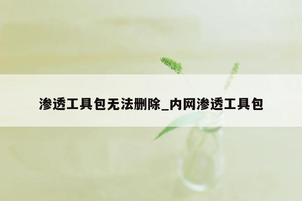 渗透工具包无法删除_内网渗透工具包