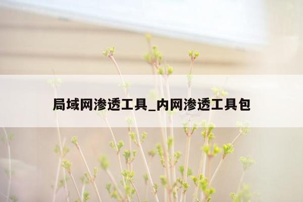 局域网渗透工具_内网渗透工具包