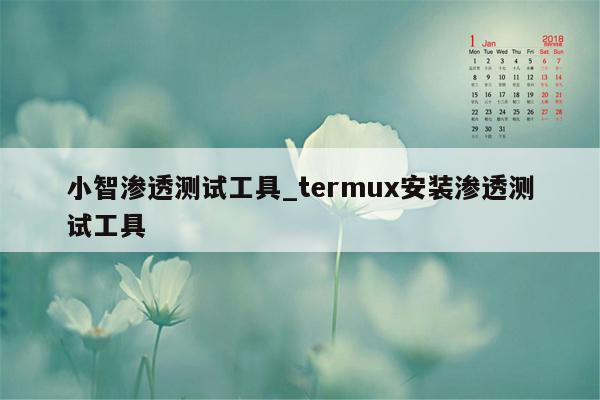 小智渗透测试工具_termux安装渗透测试工具