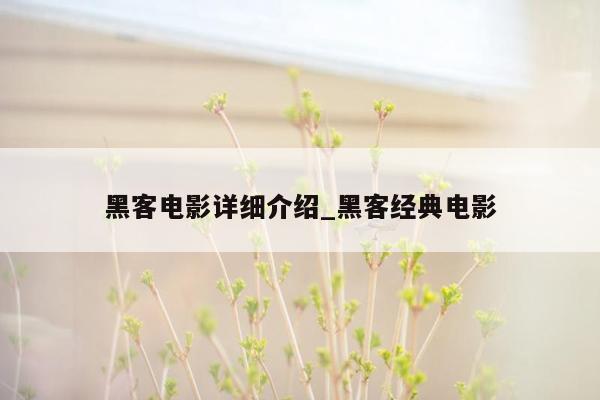 黑客电影详细介绍_黑客经典电影