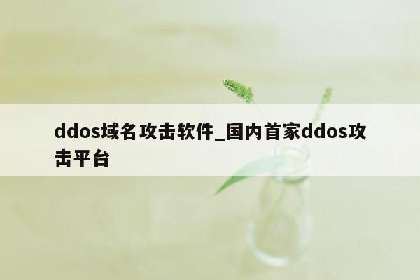 ddos域名攻击软件_国内首家ddos攻击平台