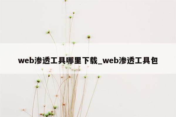 web渗透工具哪里下载_web渗透工具包