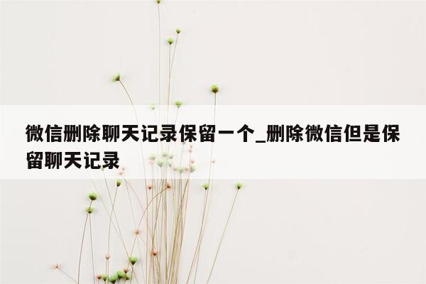 微信删除聊天记录保留一个_删除微信但是保留聊天记录