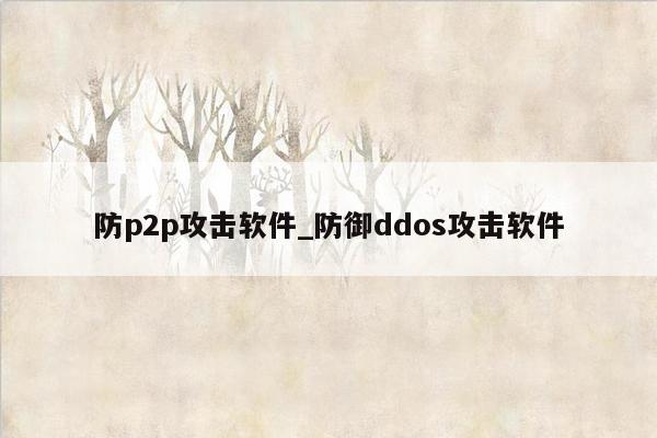 防p2p攻击软件_防御ddos攻击软件