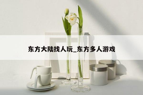 东方大陆找人玩_东方多人游戏