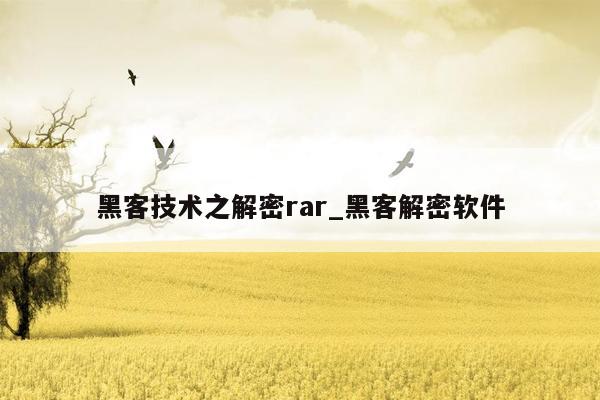 黑客技术之解密rar_黑客解密软件