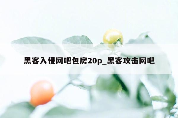 黑客入侵网吧包房20p_黑客攻击网吧