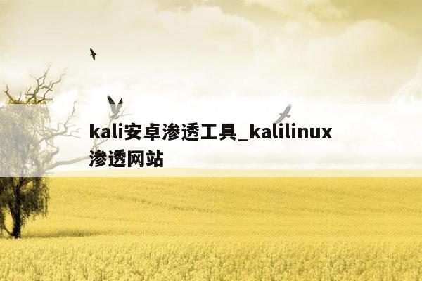 kali安卓渗透工具_kalilinux渗透网站