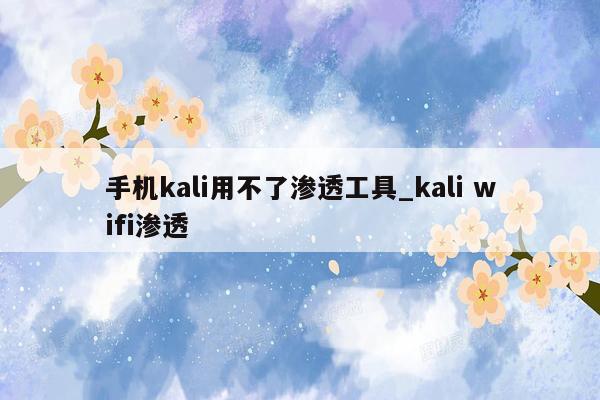 手机kali用不了渗透工具_kali wifi渗透