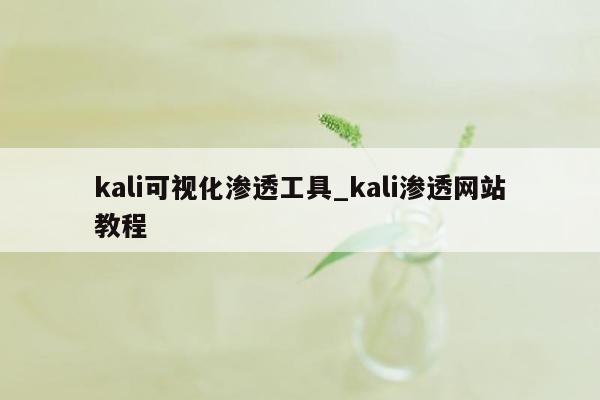 kali可视化渗透工具_kali渗透网站教程