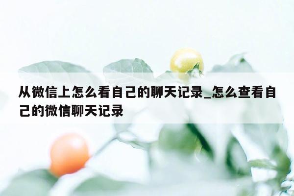 从微信上怎么看自己的聊天记录_怎么查看自己的微信聊天记录