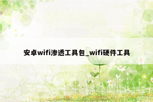 安卓wifi渗透工具包_wifi硬件工具