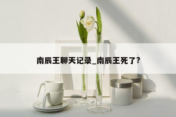 南辰王聊天记录_南辰王死了?