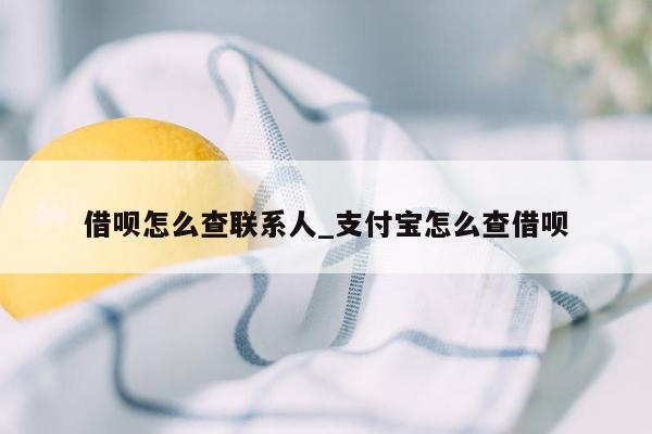 借呗怎么查联系人_支付宝怎么查借呗