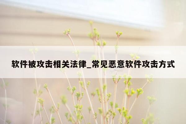 软件被攻击相关法律_常见恶意软件攻击方式