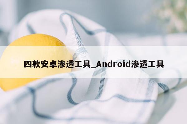 四款安卓渗透工具_Android渗透工具