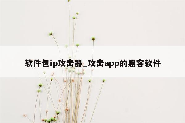 软件包ip攻击器_攻击app的黑客软件