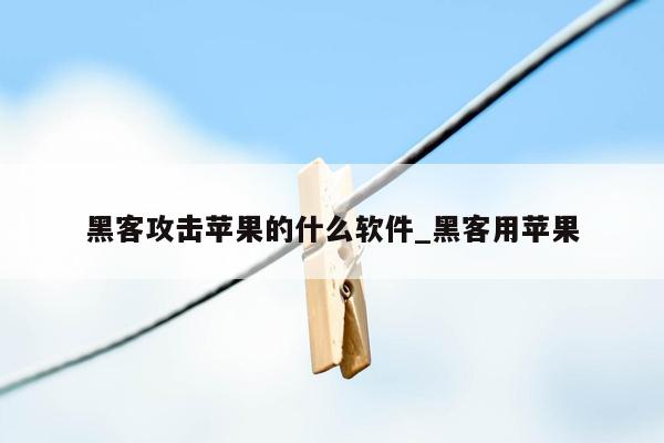 黑客攻击苹果的什么软件_黑客用苹果