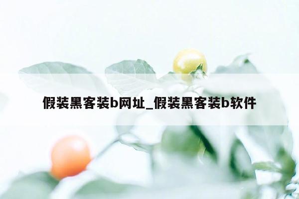 假装黑客装b网址_假装黑客装b软件