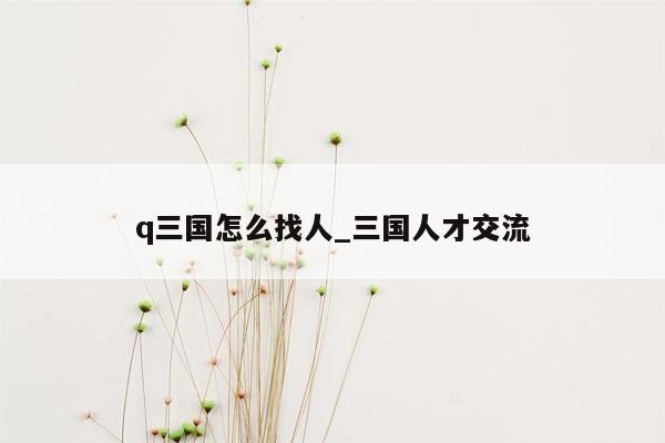 q三国怎么找人_三国人才交流