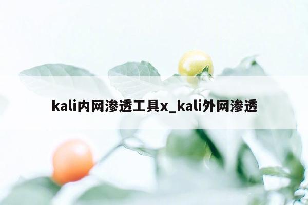 kali内网渗透工具x_kali外网渗透