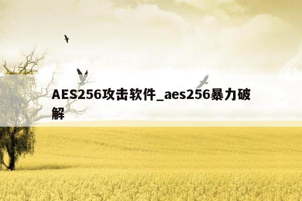 AES256攻击软件_aes256暴力破解