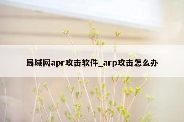 局域网apr攻击软件_arp攻击怎么办