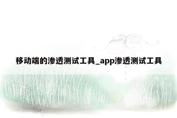 移动端的渗透测试工具_app渗透测试工具