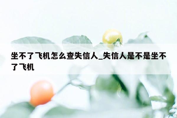 坐不了飞机怎么查失信人_失信人是不是坐不了飞机