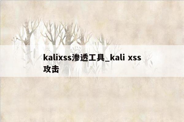 kalixss渗透工具_kali xss攻击