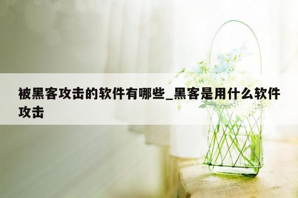 被黑客攻击的软件有哪些_黑客是用什么软件攻击