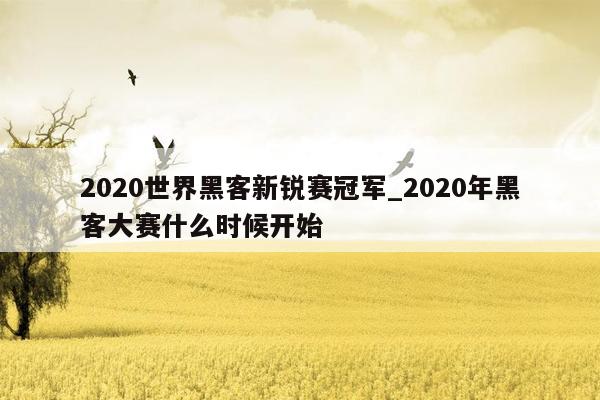 2020世界黑客新锐赛冠军_2020年黑客大赛什么时候开始