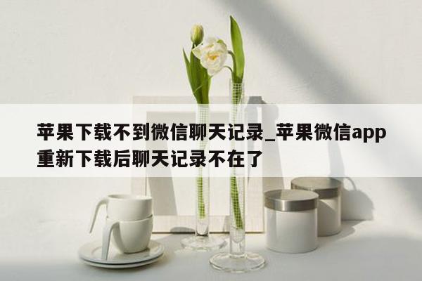 苹果下载不到微信聊天记录_苹果微信app重新下载后聊天记录不在了