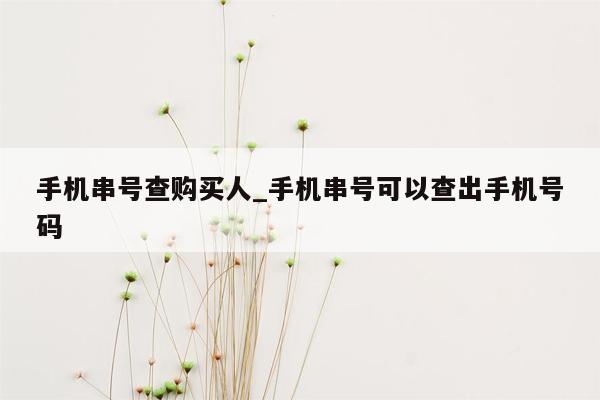 手机串号查购买人_手机串号可以查出手机号码