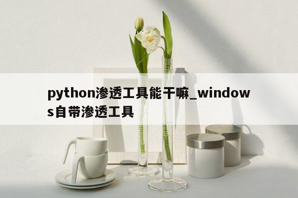 python渗透工具能干嘛_windows自带渗透工具