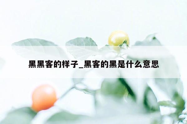 黑黑客的样子_黑客的黑是什么意思