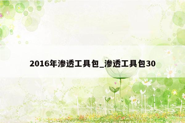 2016年渗透工具包_渗透工具包30