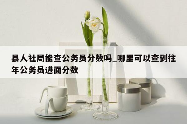 县人社局能查公务员分数吗_哪里可以查到往年公务员进面分数